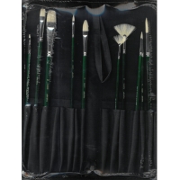 Brush starter kit with case (10) serie 1000