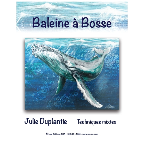 Baleine A Bosse Jd French