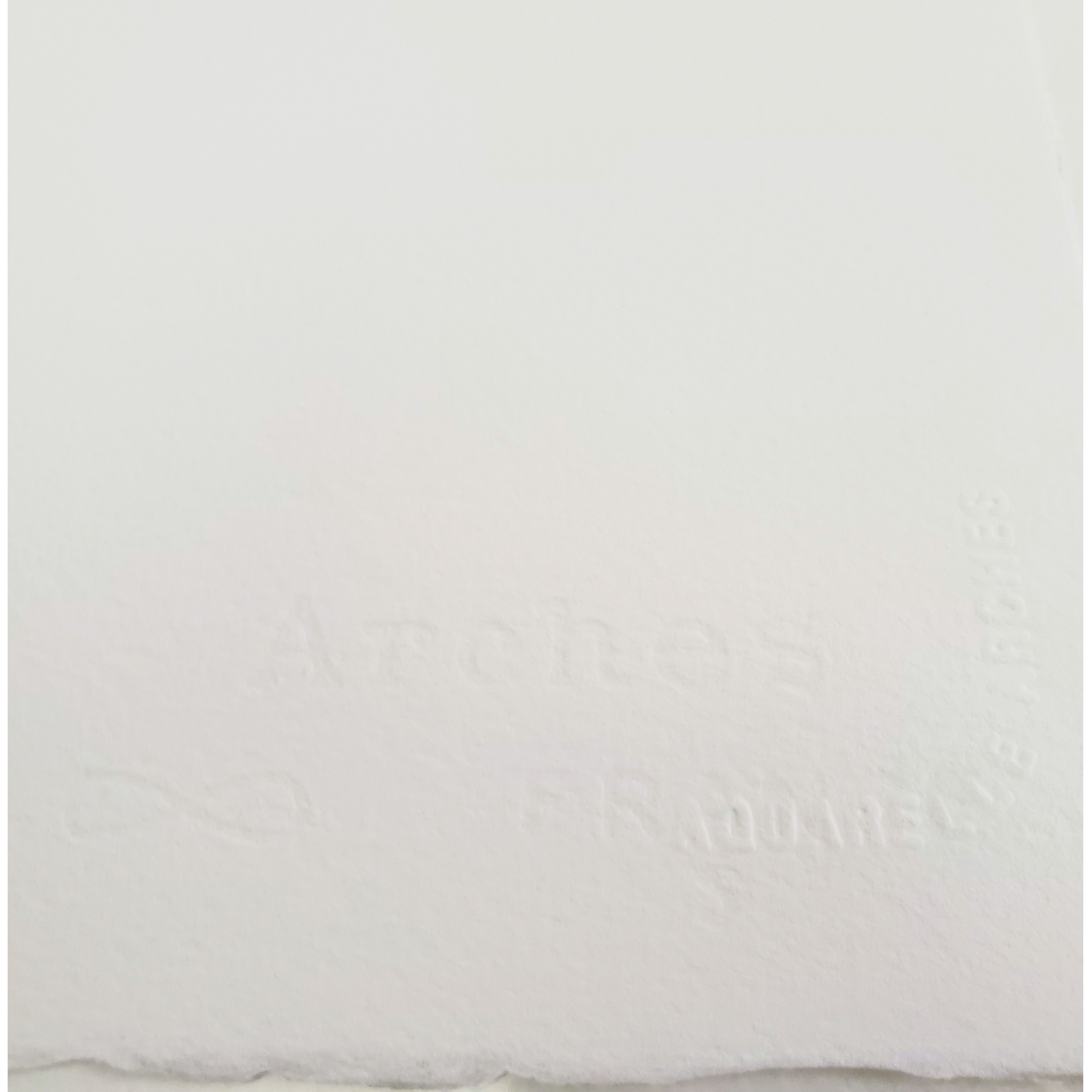 Arches Watercolor Paper 140 Lb. Cold Press Bright White 22 In. X