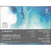 Professional Watercolour Block 140lb CP - 9x12" Winsor & Newton