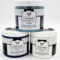 Paint 16oz Colorantic