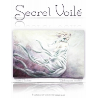 Secret voilé-JC (French PDF File)
