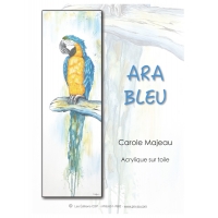 Ara Bleu-CM (French PDF File)