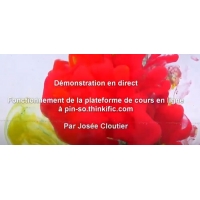 Fonctionnement de la pateforme de cours en ligne (Online Course French)