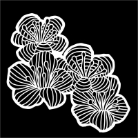 Stencil Hawthorn Flowers 6"x6" TCW981s