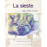 La sieste-AC (French)