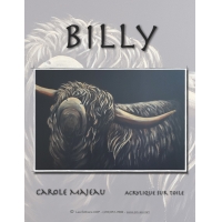 Billy-CM (French PDF File)