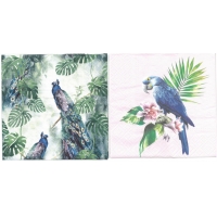 Napkin -Peacock and Parrot (total of 10)
