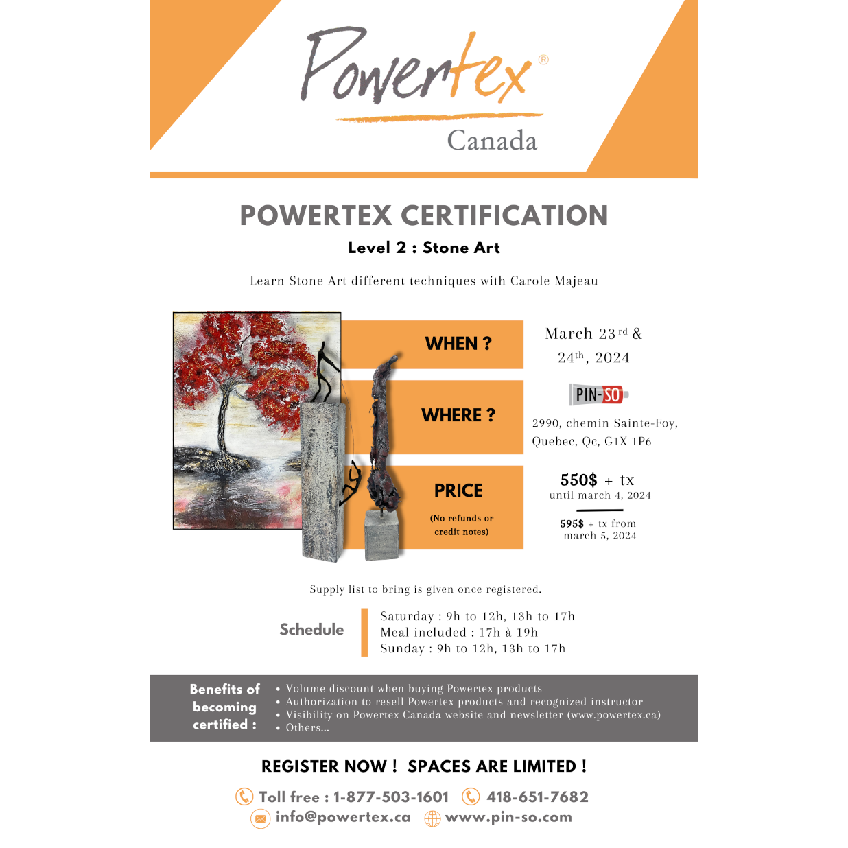 2024-03-23 Certification Powertex Stone Art level 2 in Quebec city