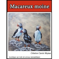 Macareux moine-CM (Français)