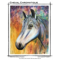 Cheval chromatique-CM (French)