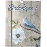 Botanique 1-KV (French)