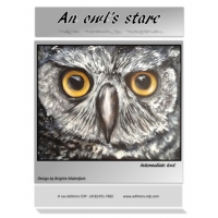 An owl's stare-BM (Anglais)
