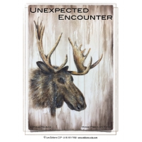 Unexpected encounter-CM (English)